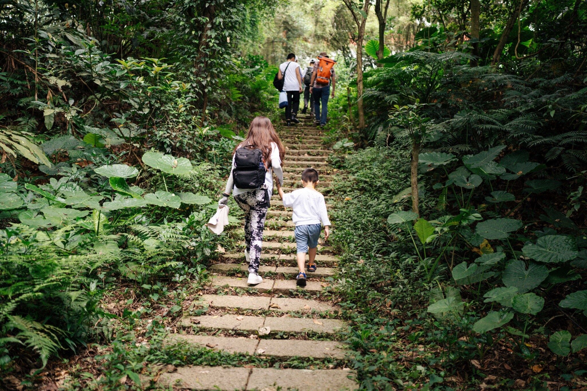 Exploring Shallow Mountain Forests: Hands-On Ecological Education with Youth | Mai's Hsin Tung Yang Foundation 40th Anniversary