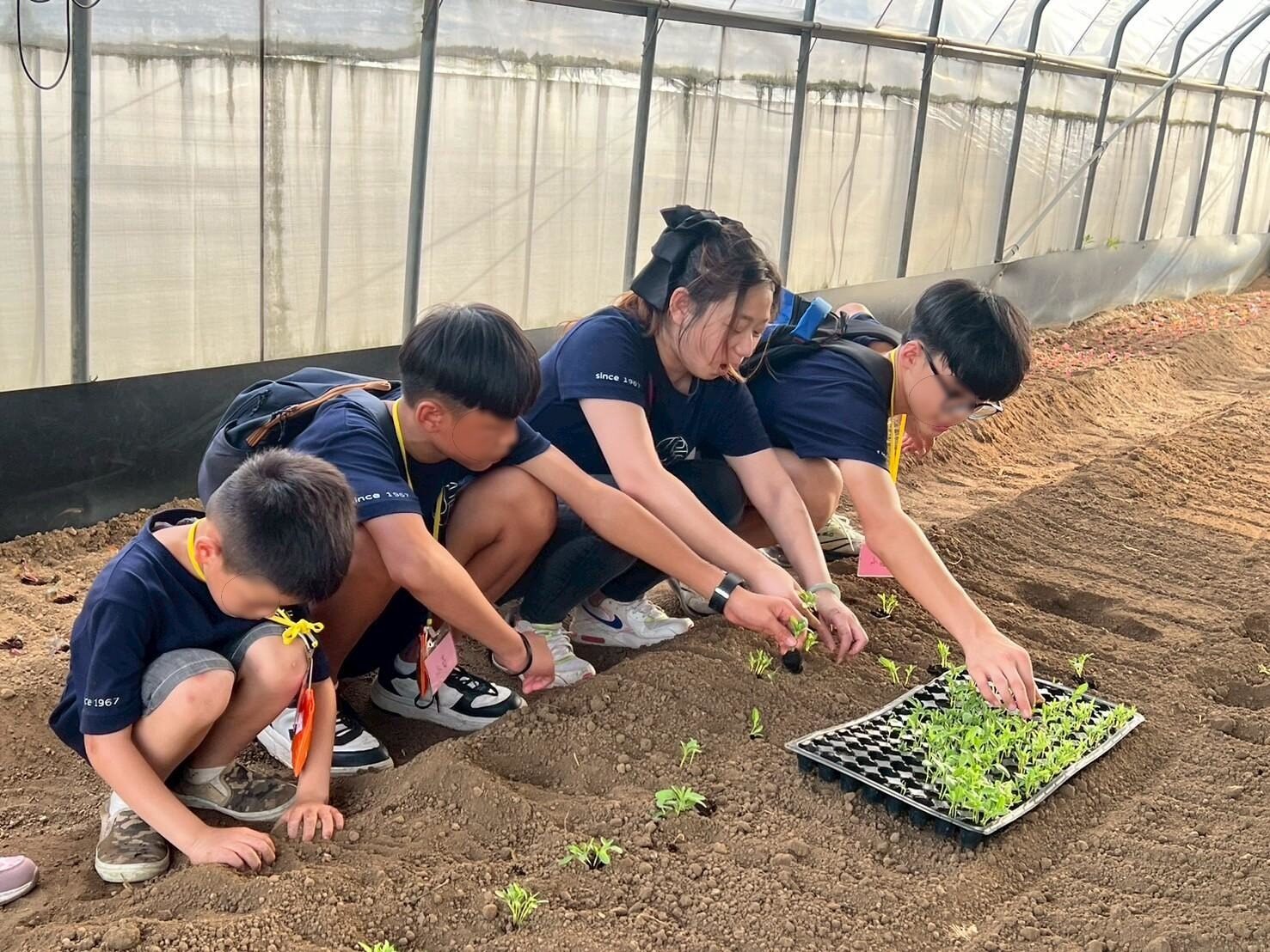 Stepping into Zhongzhen New Village: A Cross-Generational Culinary Exchange | Mai’s Hsin Tung Yang Foundation