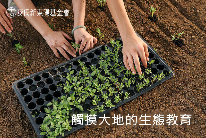 Touching the Earth: Hands-On Ecological Education | Mai's Hsin Tung Yang Foundation